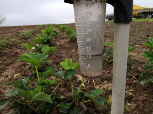 opady deszczu, susza, długi majowy weekend, IMGW