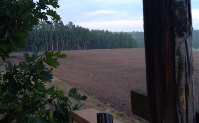 prawo łowieckie, szkody łowieckie, ministerstwo środowiska, Polski Związek Łowiecki