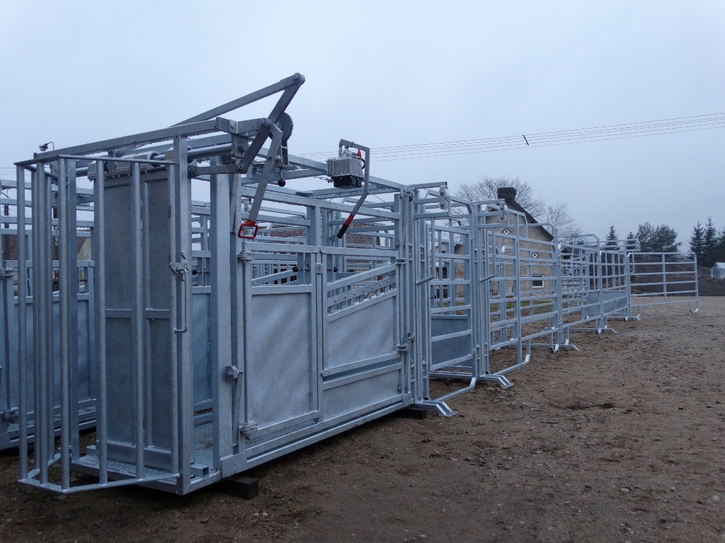 poskrom, Spawtech, bydło mięsne, bydło, korekcja racic, bydło mleczne, buhaje, lekarz weterynarii