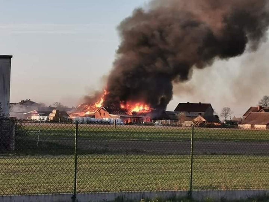 pożar gospodarstwa, świętokrzyskie, Kolonia Grzybów, straż pożarna, gowin, pomorze