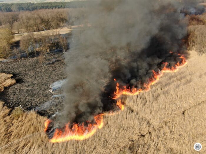 pożar, podpalenie, świętokrzyskie