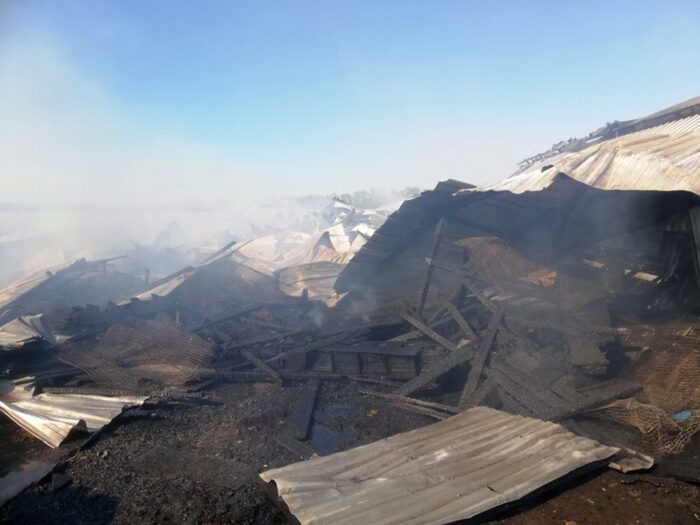 pożar na fermie norek, hodowla norek, dębowiec, Tomasz Patryas