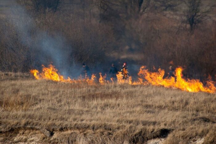 wypalanie traw i nieużytków, bliżyn, powiat skarżyski, Mariusz Walachnia, Michał Ślusarczyk