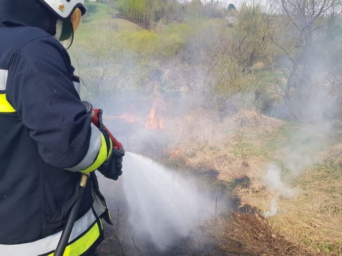 kara za wypalanie traw, wypalanie traw, Michał Woś, ministerstwo środowiska