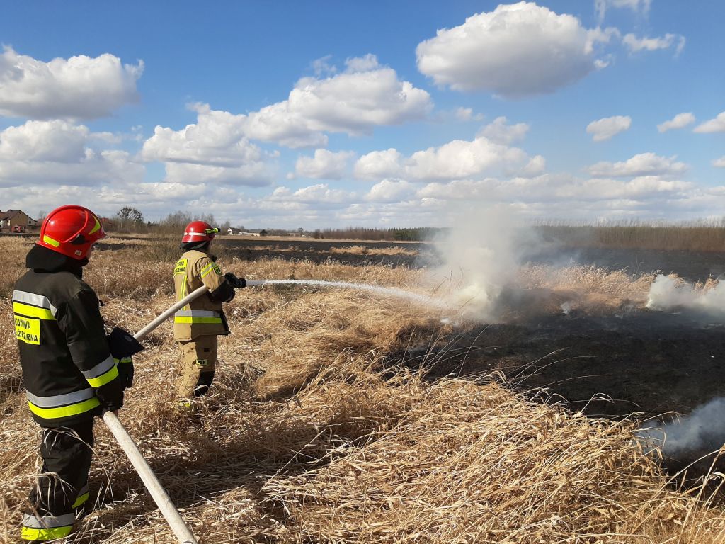 pożary traw i nieużytków rolnych, sebastian woźniak, Ochotnica Dolna, powiat nowotarski