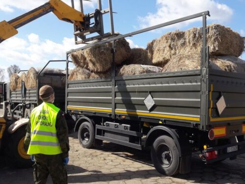 Wojska Obrony Terytorialnej, Fundacja Centaurus, Ośrodek Szczedrzykowice, opieka nad zwierzętami