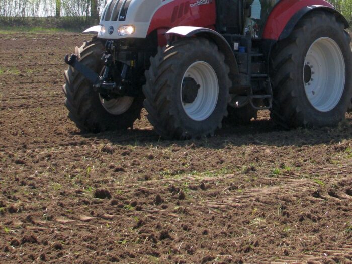 rozjechane zasiewy, gmina Budry, powiat węgorzewski