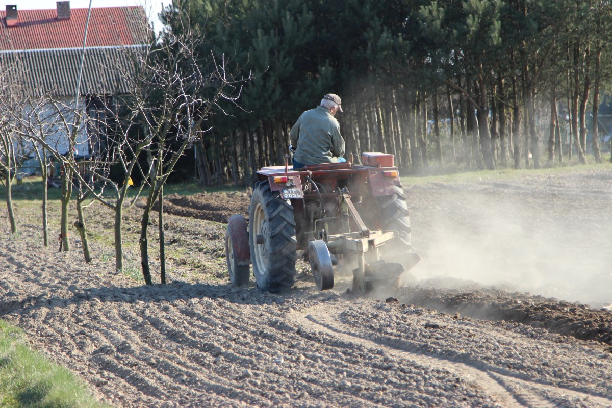 KOWR, dzierżawa, ziemia, dzuerżawa gruntów, ZWRSP