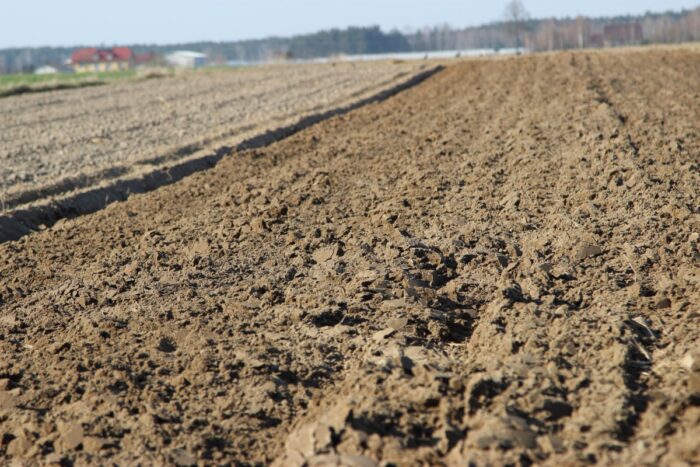 Sąd Apelacyjny w Białymstoku, nadleśnictwo Krynki, grunty rolne, reforma rolna