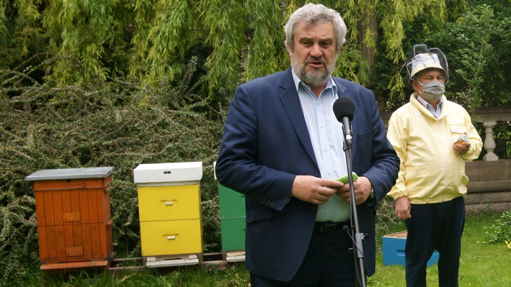 pszczelarstwo, owady zapylające, jan krzysztof ardanowski, zabiegi agrotechniczne