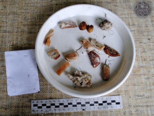 znęcanie się nad zwierzętami, sokółka , kpp sokółka