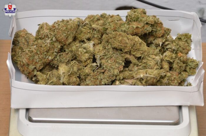 gmina adamów, marihuana, kmp w zamościu, Dorota Krukowska-Bubiło