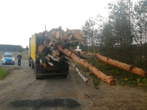 drewno, transport, lubuskie, policja