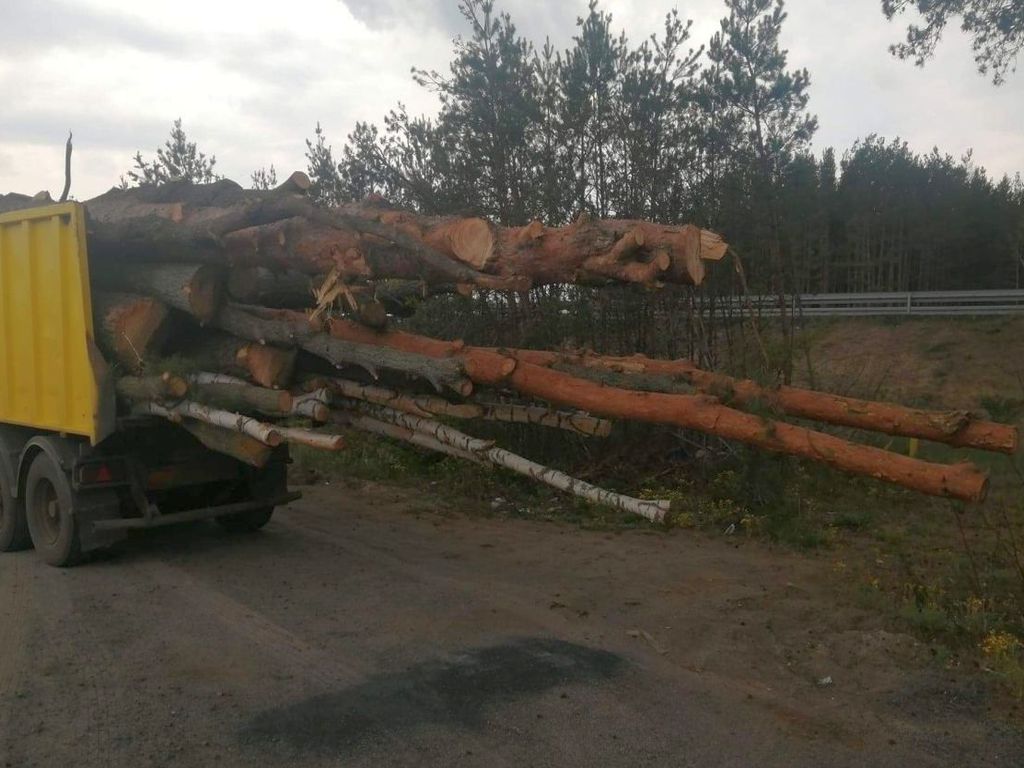 drewno, transport, lubuskie, policja