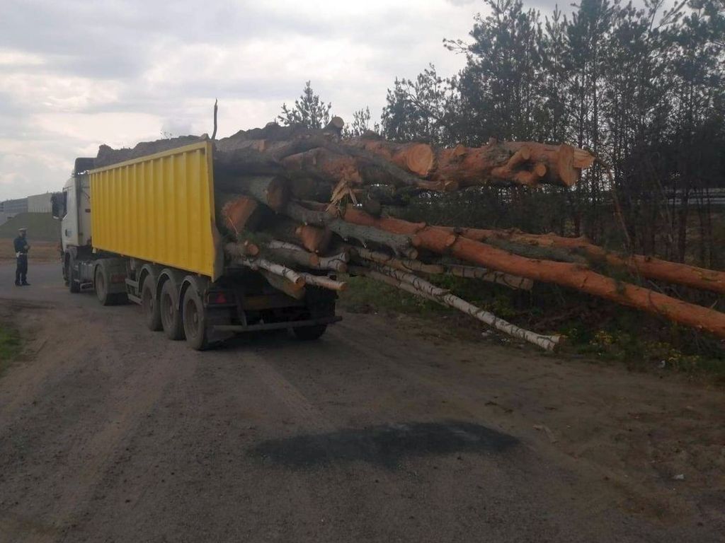 drewno, transport, lubuskie, policja