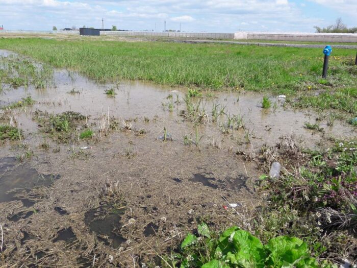 susza, deszczówka, program gromadzenia wody w gospodarstwie