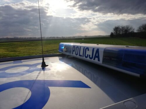 kradzież szparagów na polu, gmina Karczmiska, powiat opolski