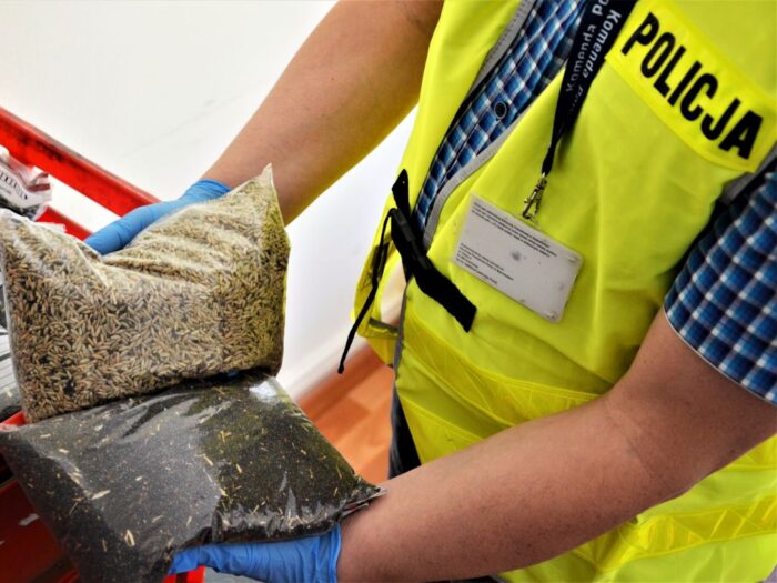 Juliusz Młodecki, Polska Koalicja Biopaliw i Pasz Białkowych, biopaliwa, Adam Stępień