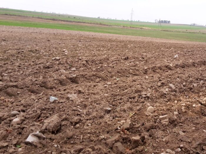 strategie grains, unijny eksport zbóż, rynek zbóż, pszenica