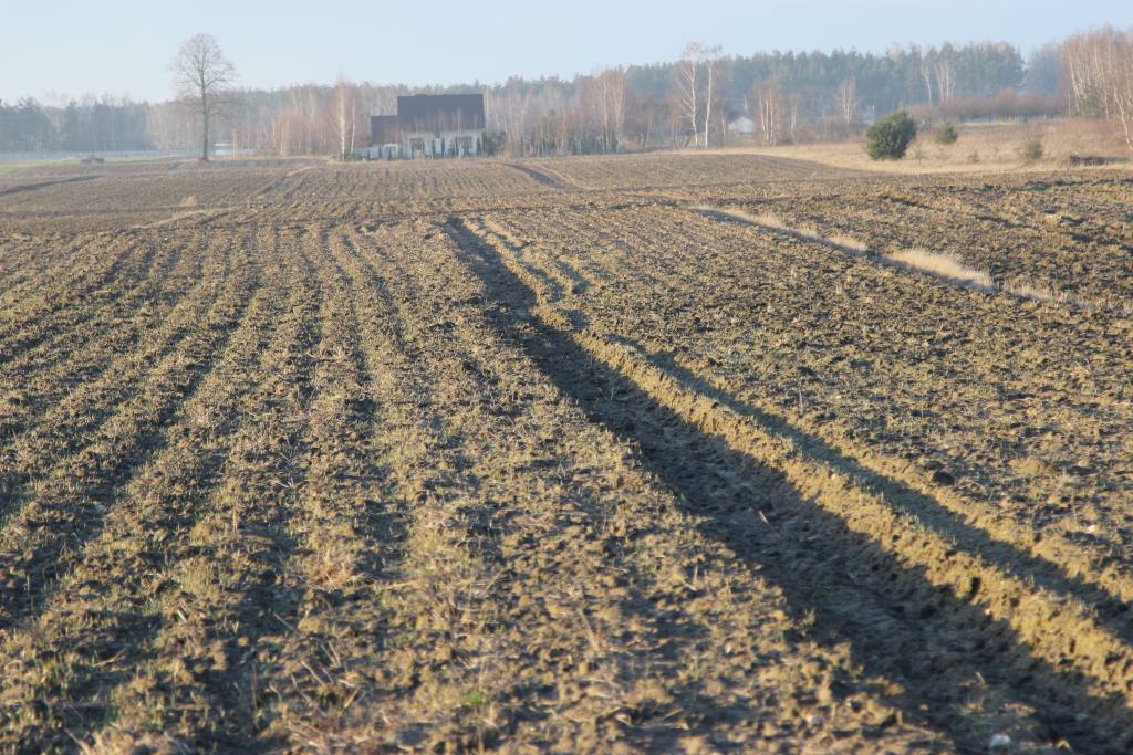 prawo, ustawa, ziemia, zmiana ustawy o kształtowaniu ustroju rolnego