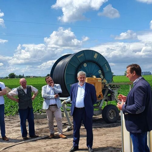 ardanowski, dożynki jasnogórskie, częstochowa