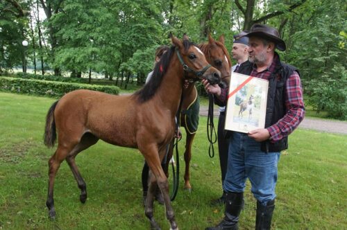ardanowski, dożynki jasnogórskie, częstochowa