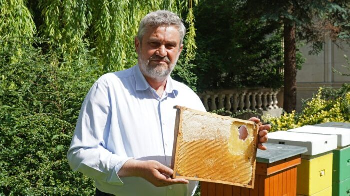 Krajowy Program Wsparcia Pszczelarstwa, jan krzysztof ardanowski, wsparcie dla rolnictwa