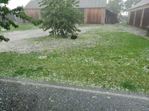 grad, podwórko, budynki, liście