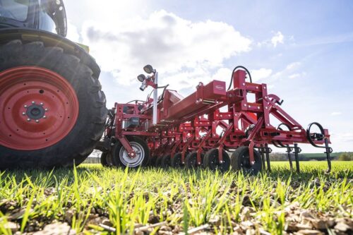 Stekete - pielnik do chwastów