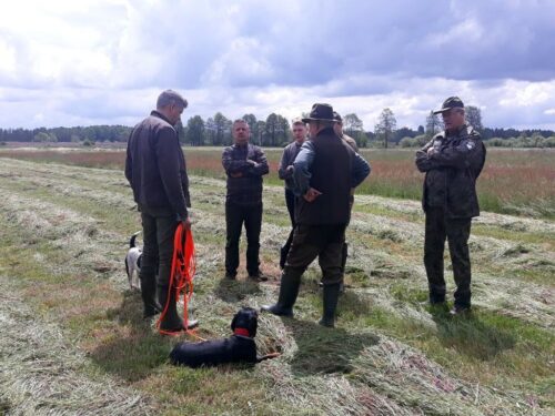 sianokosy, myśliwi, PZŁ, bażanty