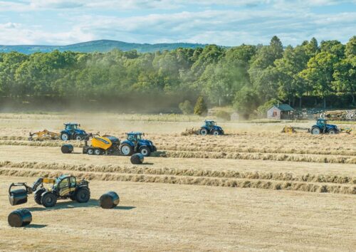 zbiory zbóż, eksport zbóż, import zbóż, zboża, pszenica, kukurydza, żyto