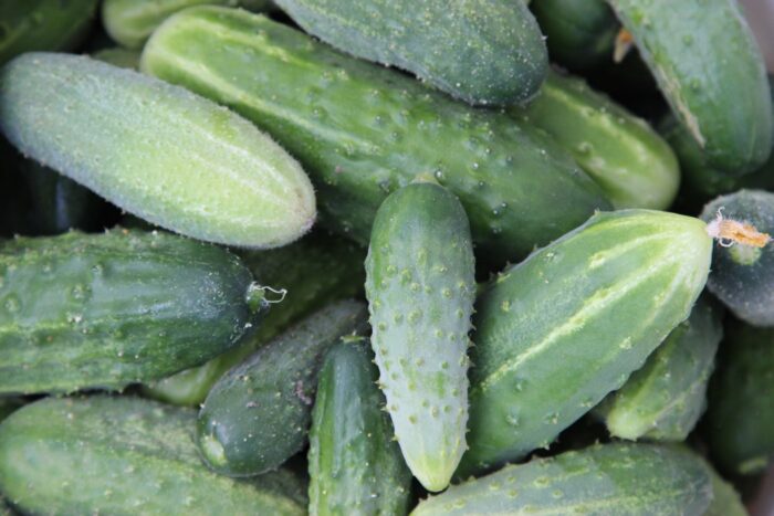 rynek hurtowy w broniszach, bronisze, maciej kmera, ceny owoców i warzyw