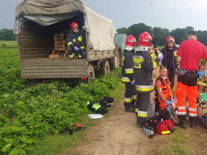 Strzeszów, powiat trzebnicki, Przemysław Ratajczyk, uderzenie pioruna na polu