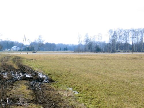 ceny gruntów rolnych, Agencja Nieruchomości Rolnych, sprzedaż ziemi