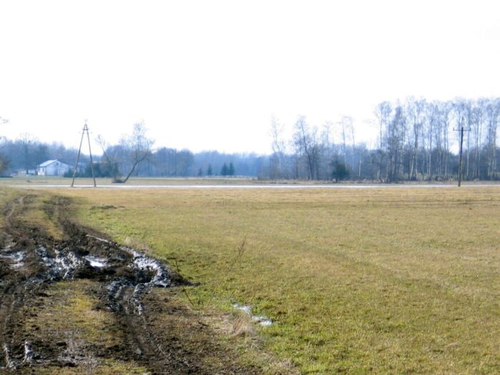 ceny gruntów rolnych, Agencja Nieruchomości Rolnych, sprzedaż ziemi