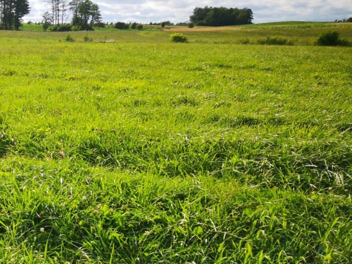 siano, krir, obszary Natura 2000, prow 2014-2020