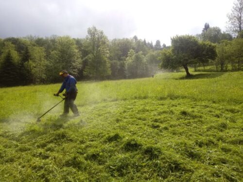 leśne sianokosy, bieszczady, edward marszałek, rdlp w krośnie