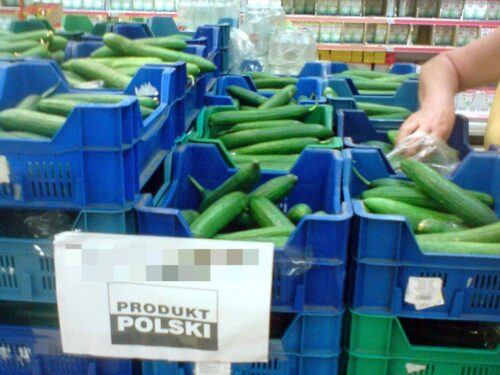 państwowa sieci sklepów spożywczych, artur soboń, sektor rolno-spożywczy, agrounia