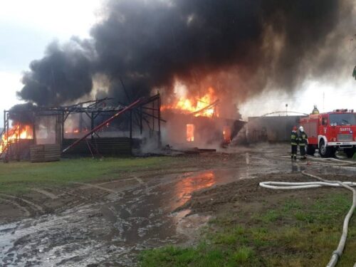 zniszczone gospodarstwa, Wola w Ropie, powiat gorlicki, Mikołajki Pomorskie, powiat sztumski