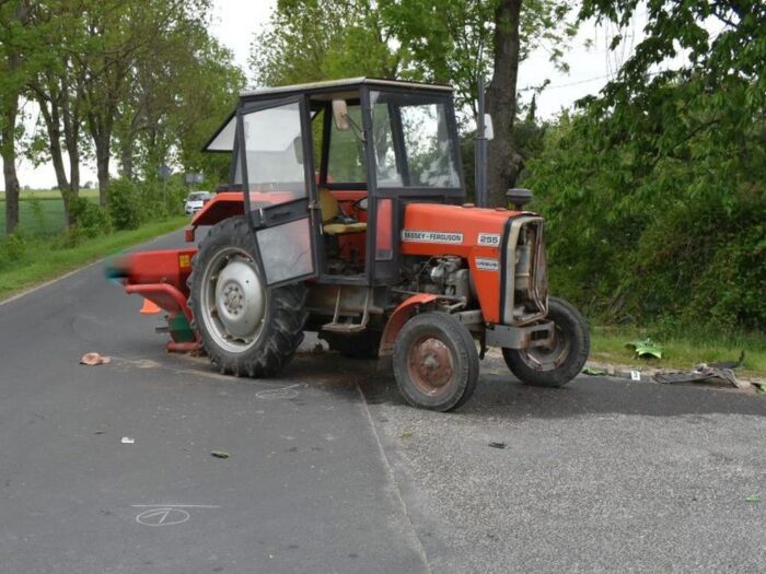 Europejski Zielony Ład, bydło mleczne, bydło mięsne, trzoda chlewna, gospodarstwa ekologiczne, ekologia