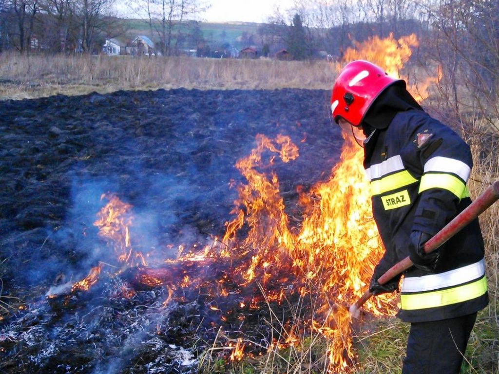 Tomasz Nowakowski, ARiMR, Andrzej Bartkowiak, Państwowa Straż Pożarna, wypalanie traw