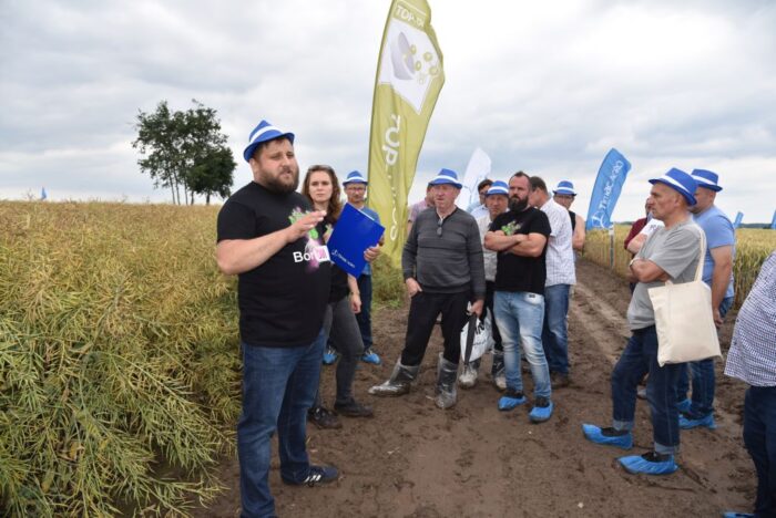 kukurydza, Garzyn, Krajowy Dzień Kukurydzy