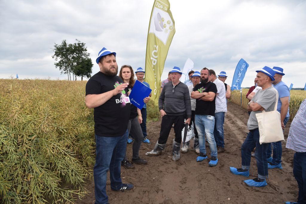 kukurydza, Garzyn, Krajowy Dzień Kukurydzy