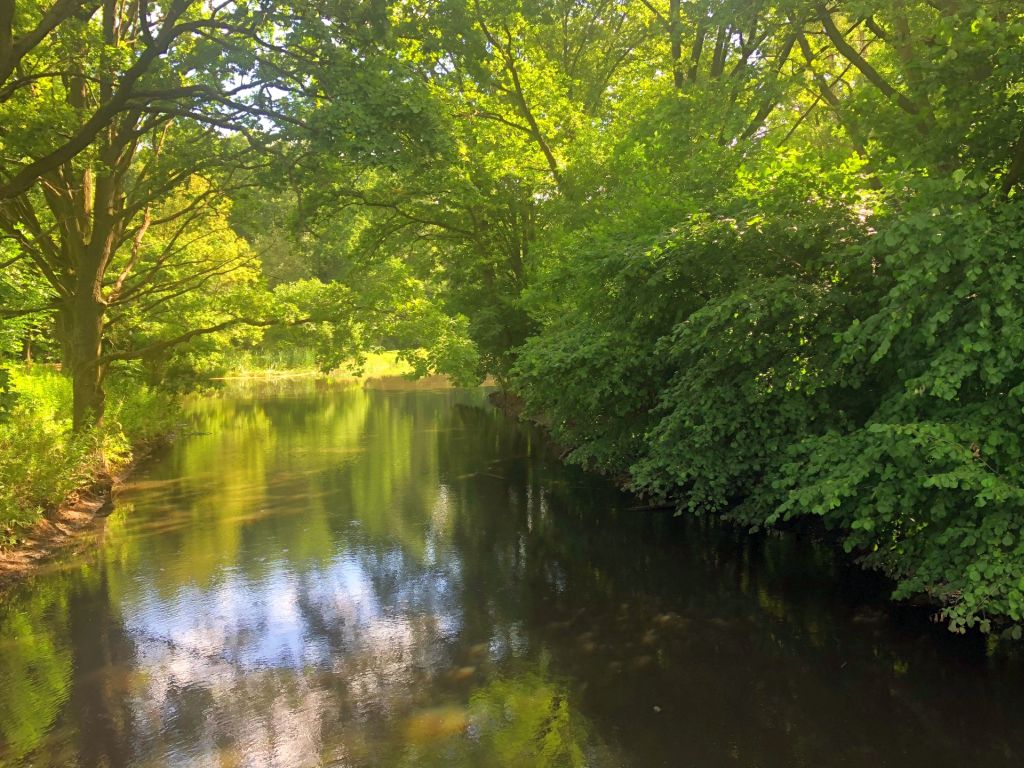 barycz, wody polskie, stawy milickie, odcieki ze stert obornika