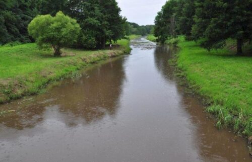 barycz, zatruta rzeka, wielkopolska izba rolnicza, zanieczyszczenie wód azotanami