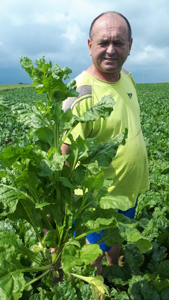 burakochwast, Witold Ferens