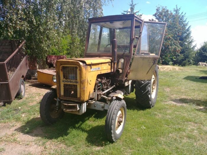 wypadek, alkohol, wypadek w miejscowości Beleń