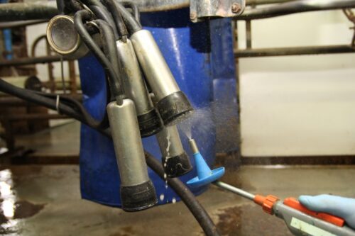 dezynfekcja budynków inwentarskich, środek VIRKON, Inspekcja Ochrony Środowiska