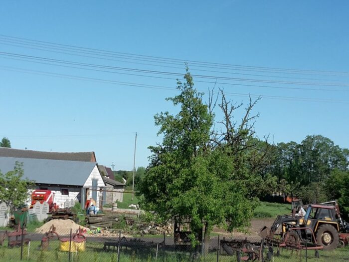 gospodarstwa rolne, powierzchnia użytków rolnych