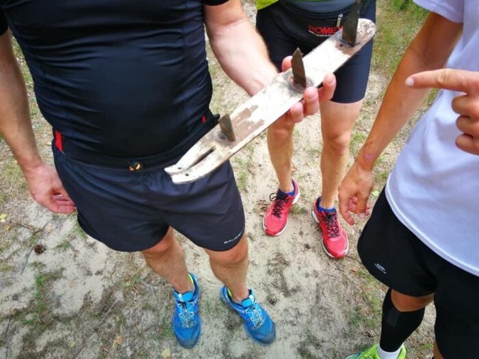 lasy_panstwowe_sprzedaz